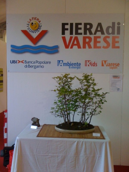 Fiera-Varese-1